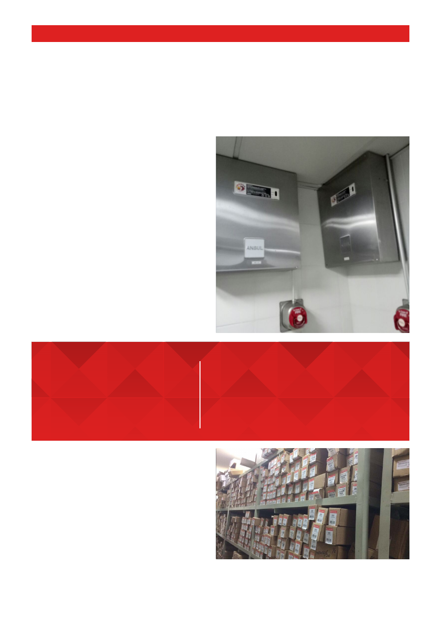 background image for page 8