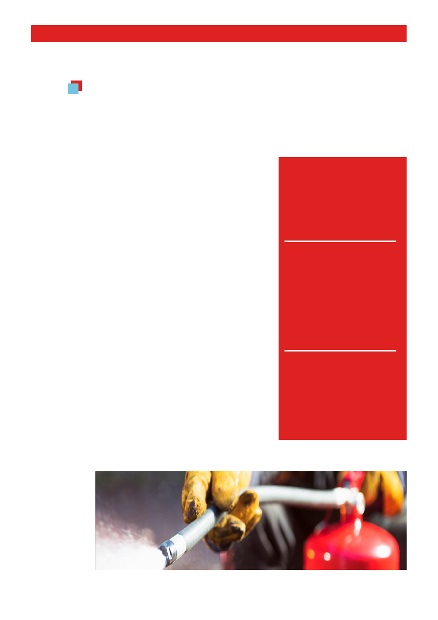 background image for page 11