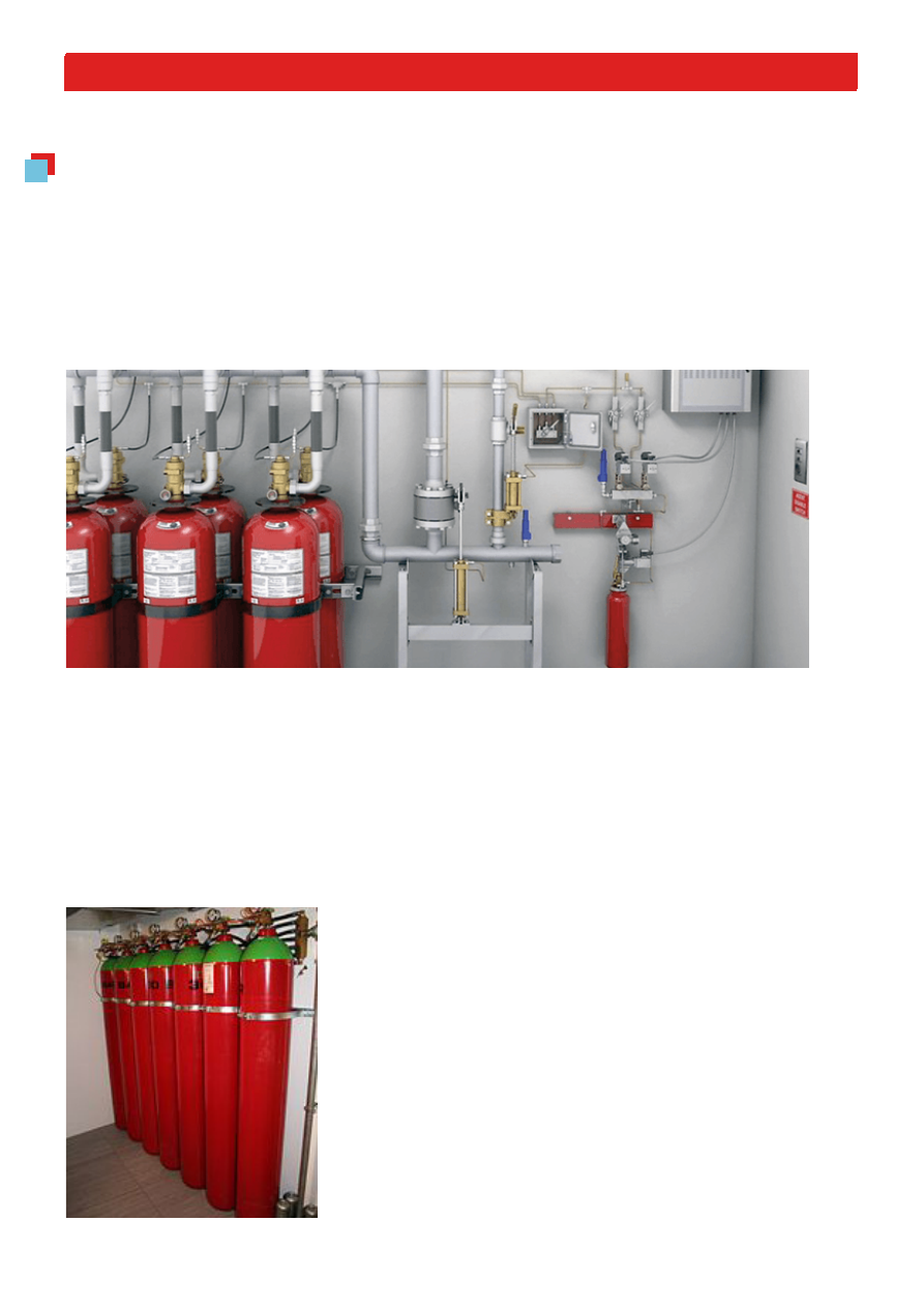 background image for page 14