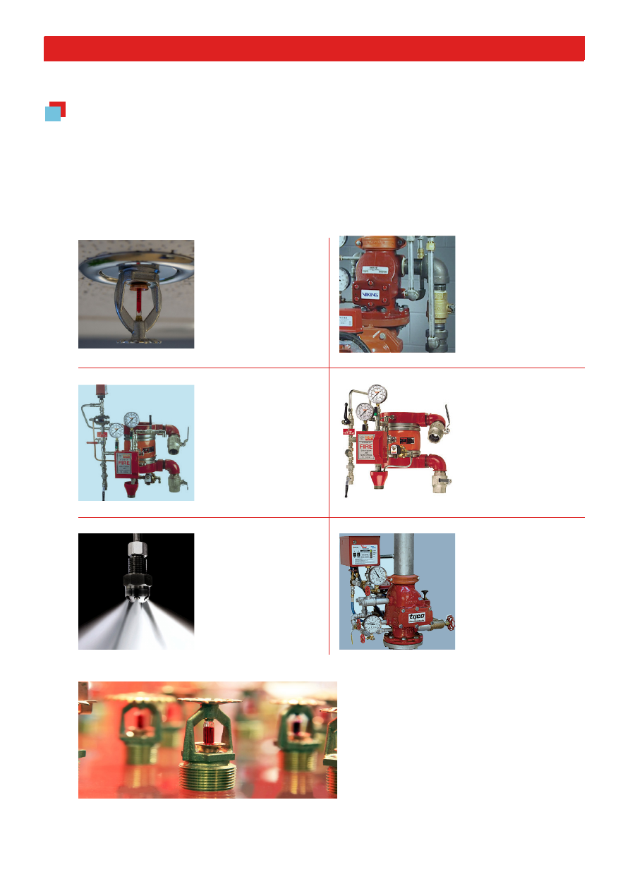 background image for page 16